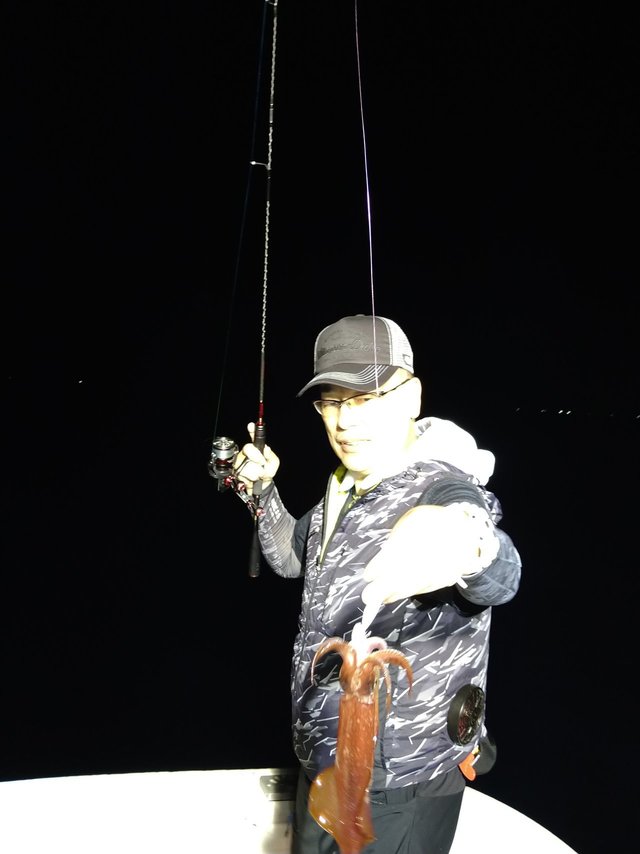 イカ(ケンサキイカ)