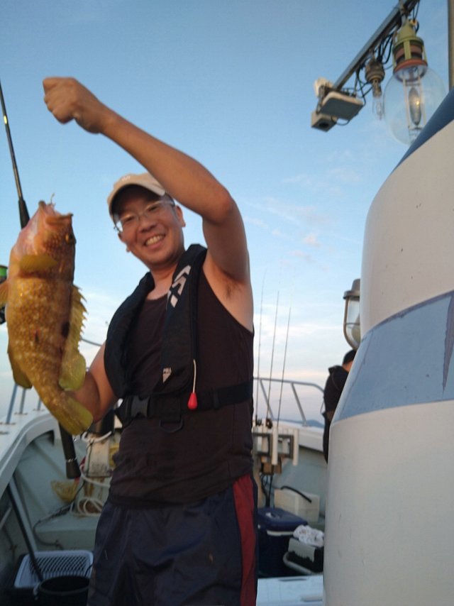 アコウ(キジハタ)