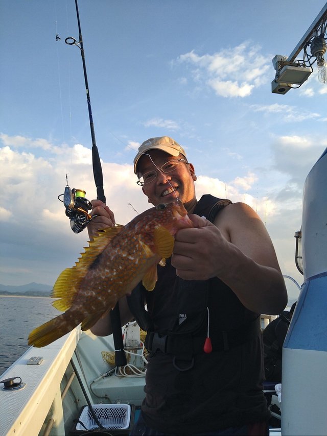 アコウ(キジハタ)