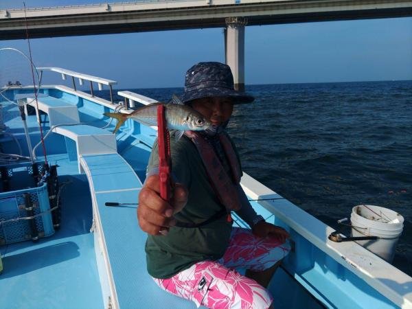 アジゴ(マアジ)