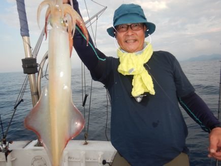 シロイカ(ケンサキイカ)