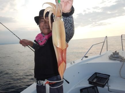 シロイカ(ケンサキイカ)