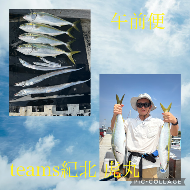 メジロ(ブリ)・タチウオ