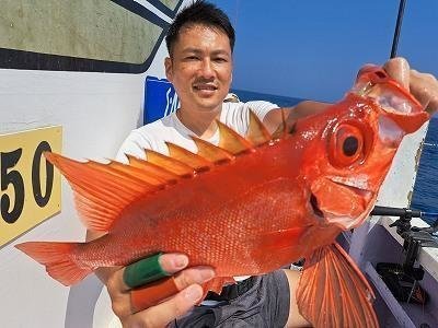 キントキ(チカメキントキ)