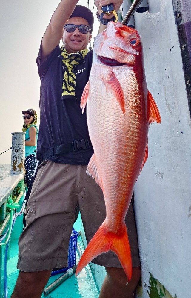 オオクチハマダイ