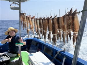 スルメ(スルメイカ)