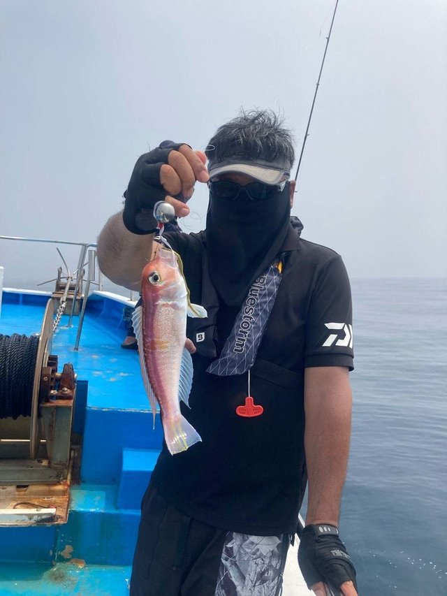 アマダイ(アカアマダイ)