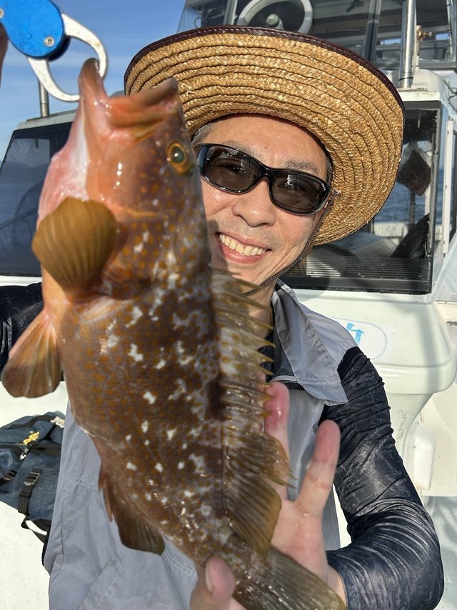 アコウ(キジハタ)