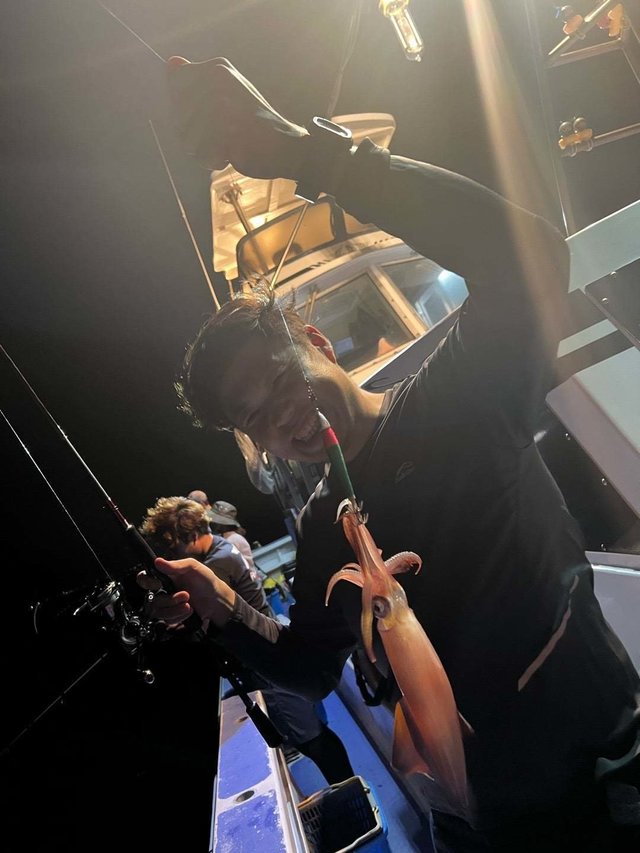 マルイカ(ケンサキイカ)