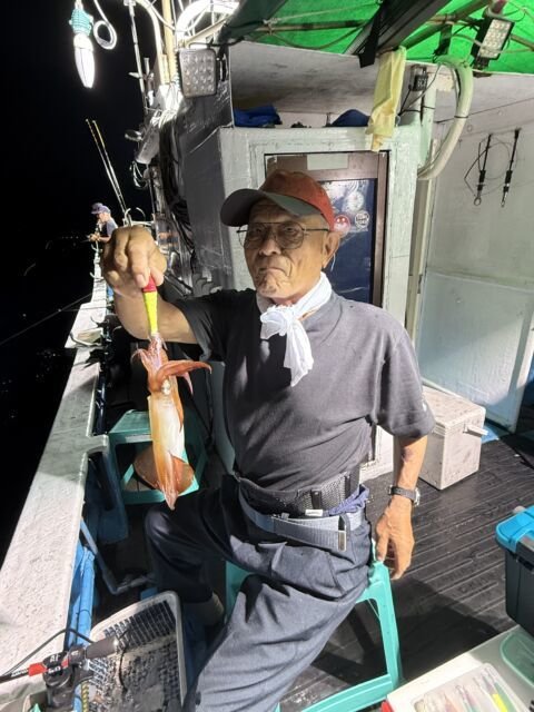 マイカ(ケンサキイカ)