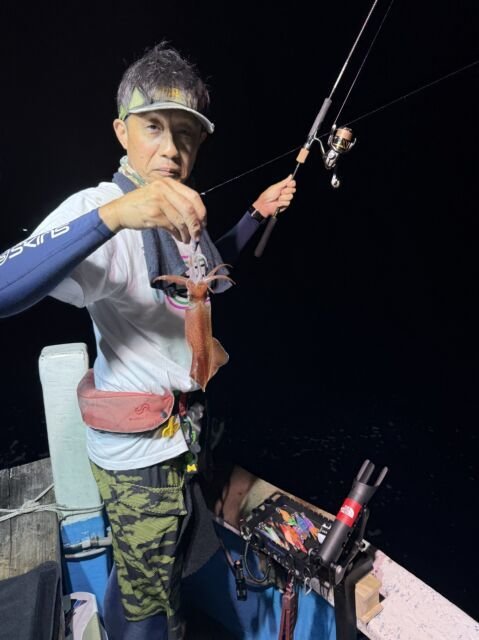 マイカ(ケンサキイカ)