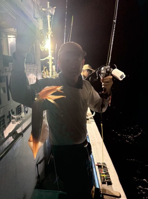 マイカ(ケンサキイカ)