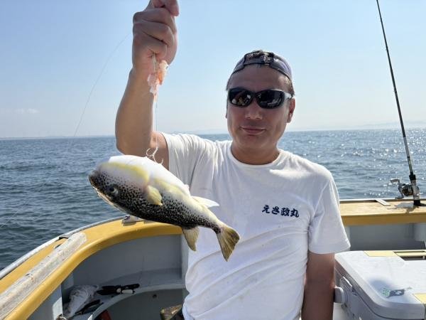 ショウサイフグ