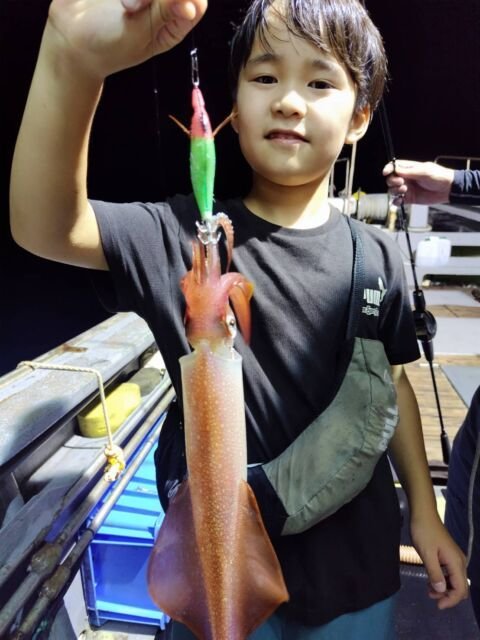 イカ(ヤリイカ)