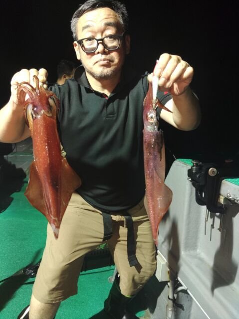 イカ(ヤリイカ)