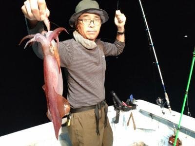 マイカ(ケンサキイカ)