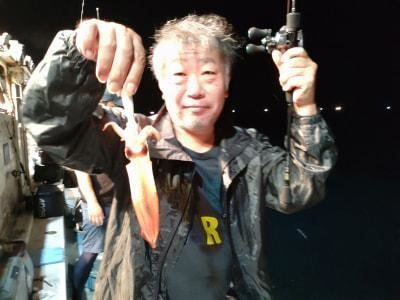 マイカ(ケンサキイカ)