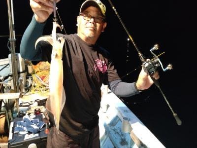 マイカ(ケンサキイカ)