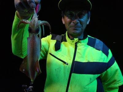 マイカ(ケンサキイカ)