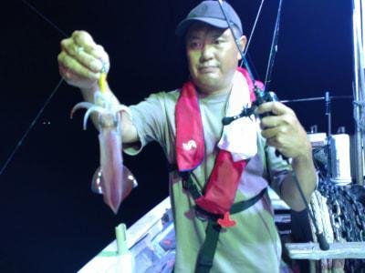 マイカ(ケンサキイカ)