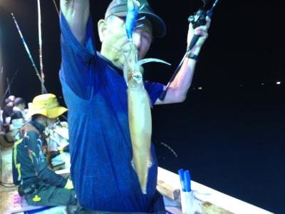 マイカ(ケンサキイカ)