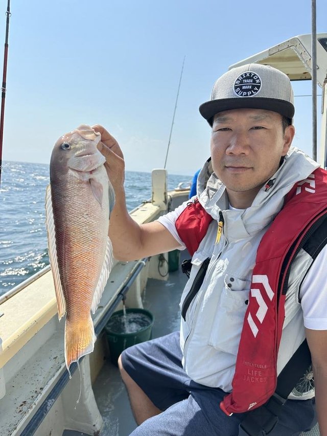 アマダイ(アカアマダイ)