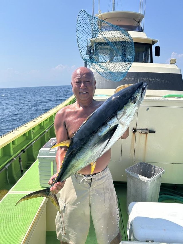 キメジ(キハダ)