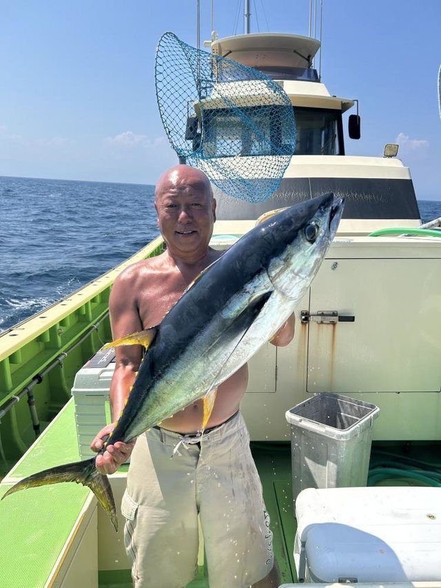 キメジ(キハダ)