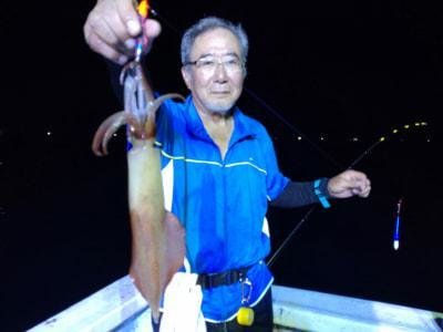 マイカ(ケンサキイカ)