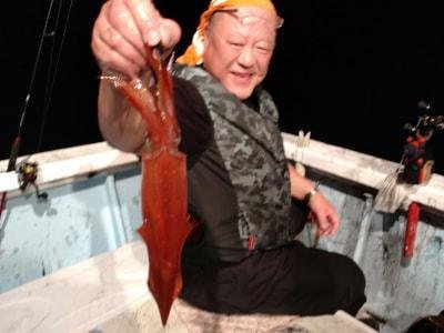 マイカ(ケンサキイカ)