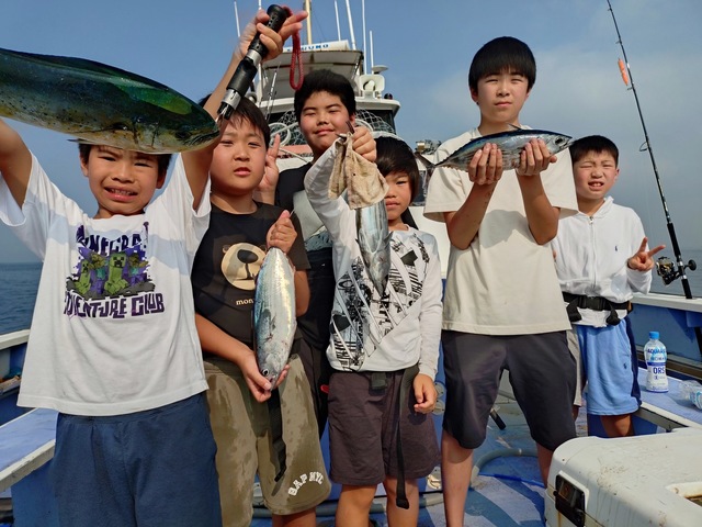 シイラ・カツオ