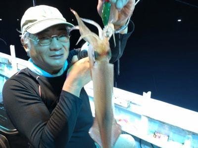 マイカ(ケンサキイカ)