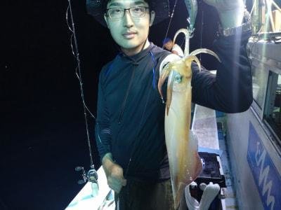 マイカ(ケンサキイカ)