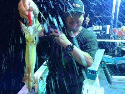 マイカ(ケンサキイカ)