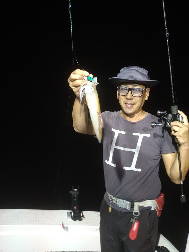 イカ(ケンサキイカ)