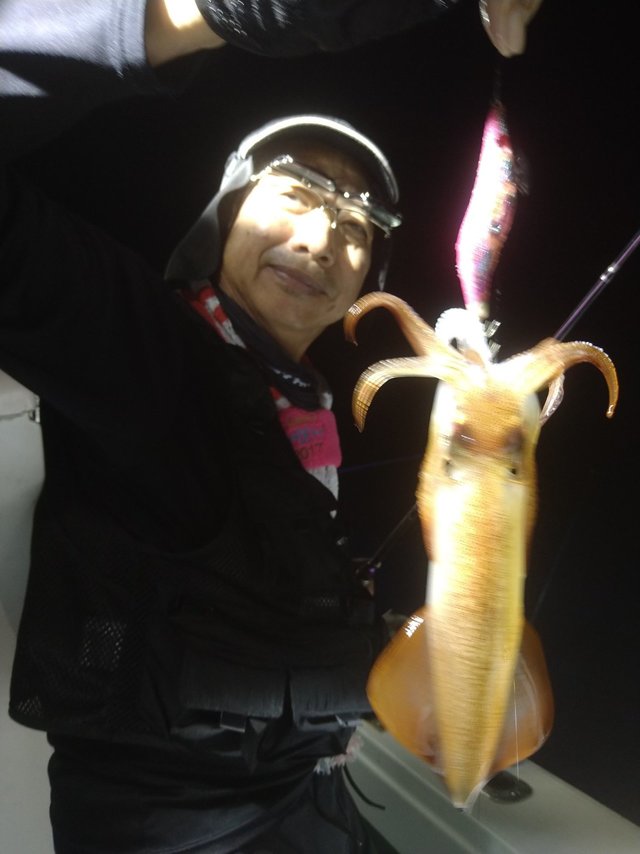 イカ(ケンサキイカ)