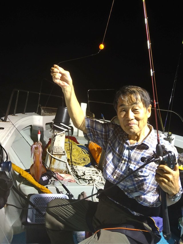 イカ(ケンサキイカ)