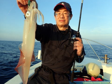 シロイカ(ケンサキイカ)