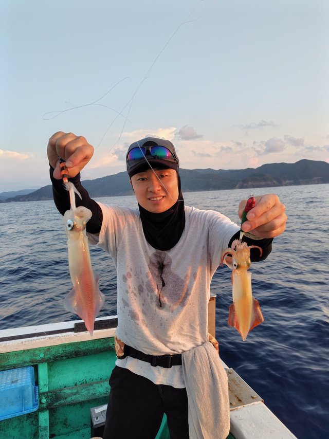 シロイカ(ケンサキイカ)