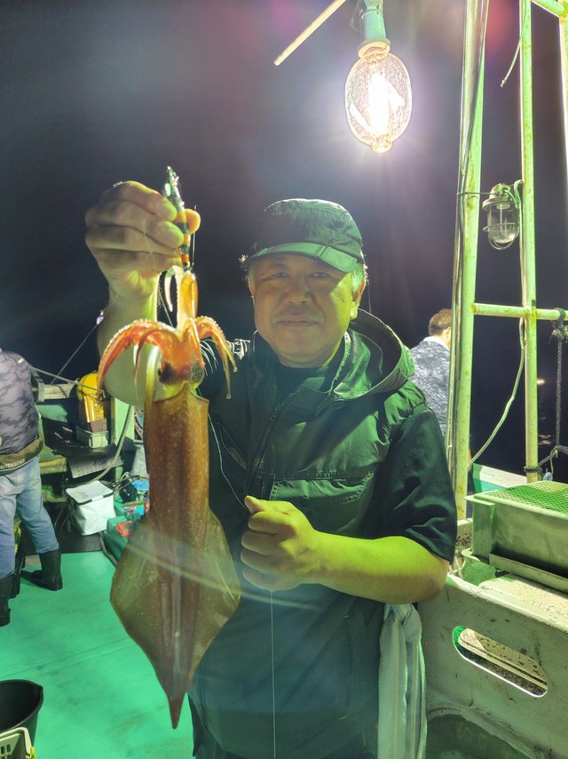 シロイカ(ケンサキイカ)