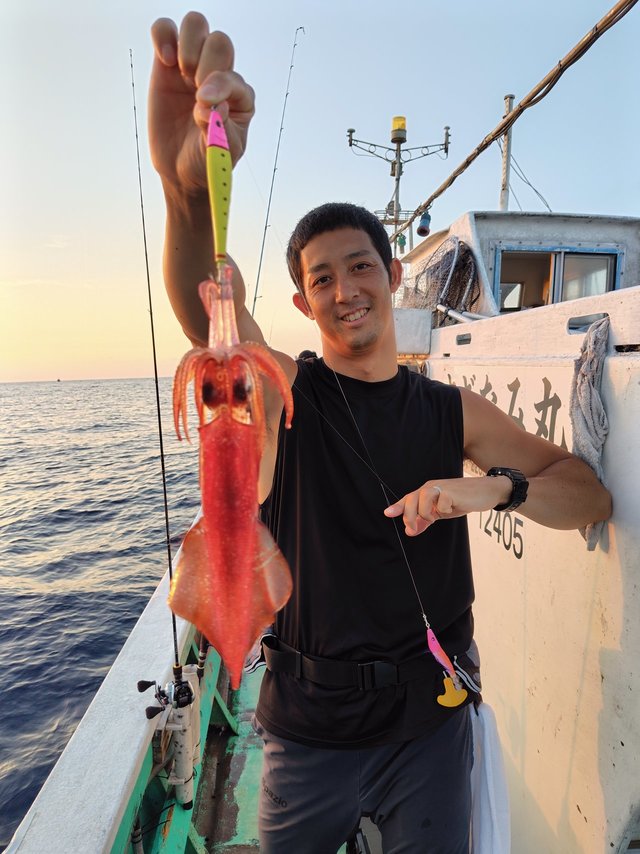 シロイカ(ケンサキイカ)