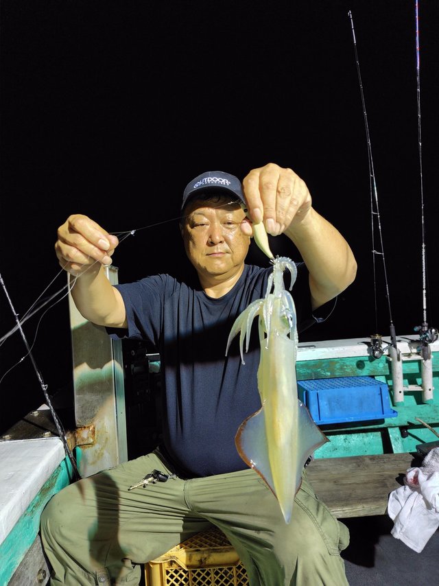 シロイカ(ケンサキイカ)