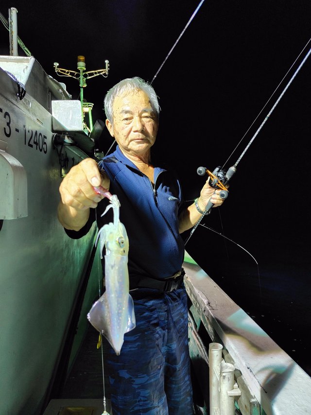 シロイカ(ケンサキイカ)