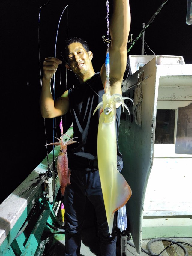 シロイカ(ケンサキイカ)