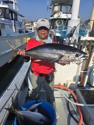 キメジ(キハダ)