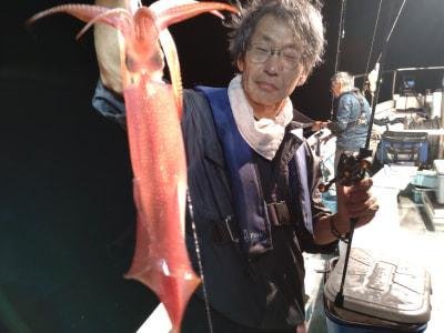 マイカ(ケンサキイカ)