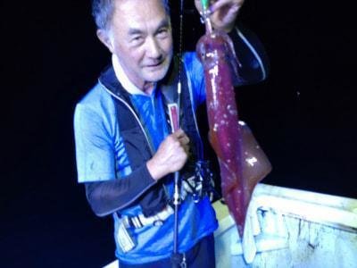 マイカ(ケンサキイカ)