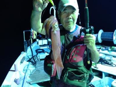 マイカ(ケンサキイカ)