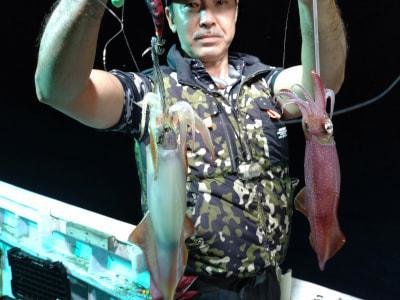 マイカ(ケンサキイカ)