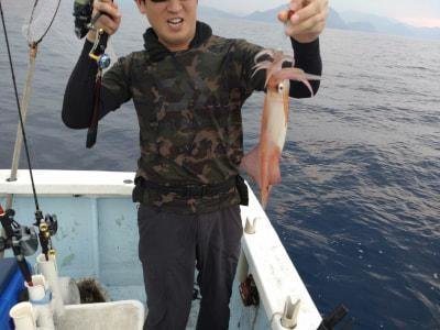 マイカ(ケンサキイカ)